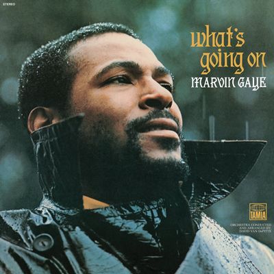 Marvin Gaye - What's Going On