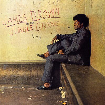 James Brown - In the Jungle Groove
